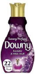 DOWNY LAVENDER