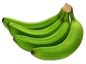 GREEN BANANAS