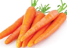 CARROTS
