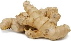 GINGER