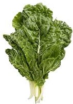 SPINACH