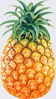 PINEAPPLE