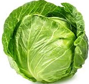 CABBAGE