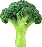 BROCCOLI