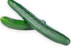 ENGLISH CUCUMBER