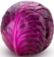 RED CABBAGE
