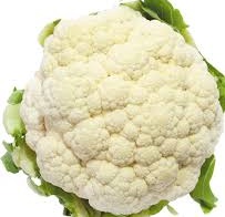 CAULIFLOWER